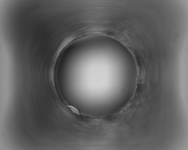 X0000113870099200910011120