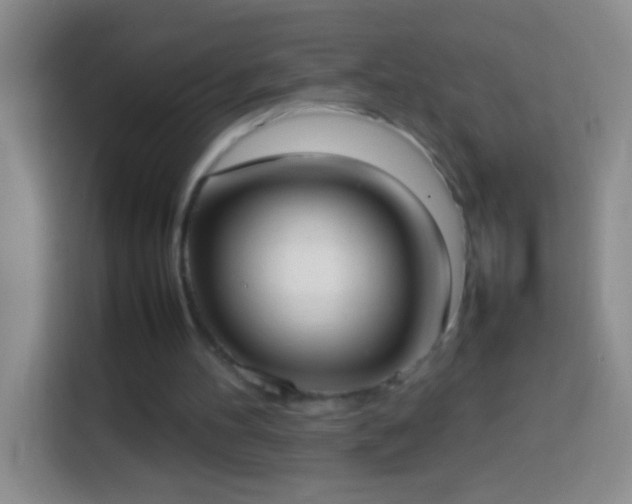 X0000113870100200910011120