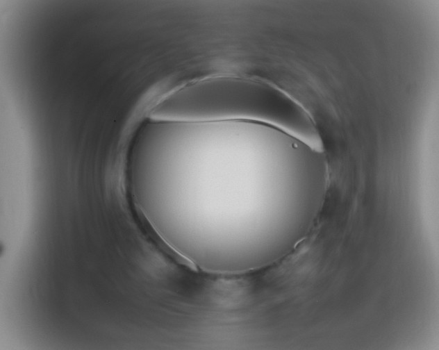 X0000113870101200910011120