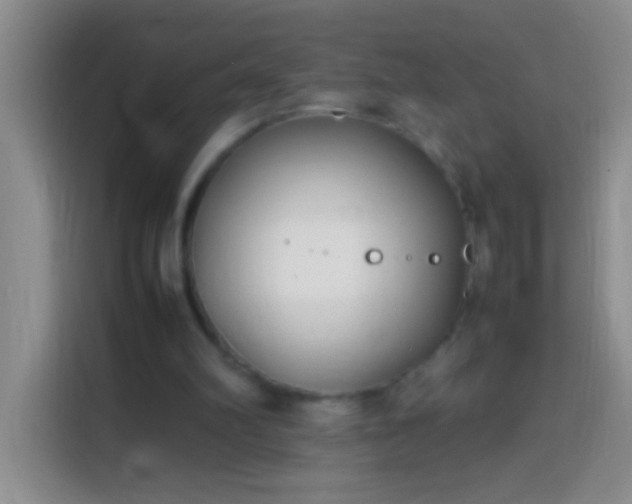 X0000113870102200910011120