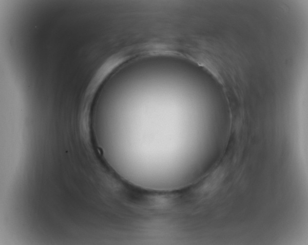 X0000113870103200910011120