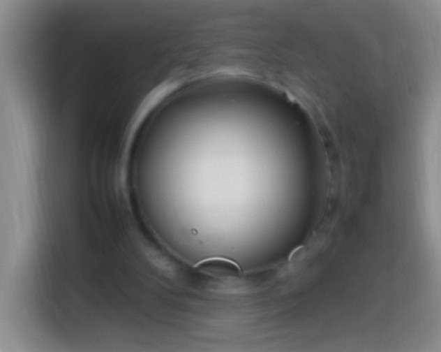 X0000113870104200910011120