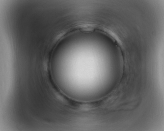 X0000113870105200910011120