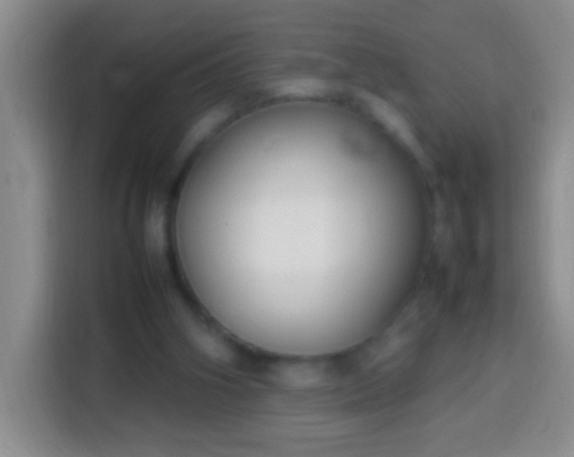 X0000113870106200910011120