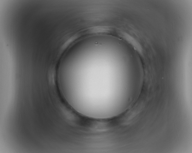 X0000113870107200910011120