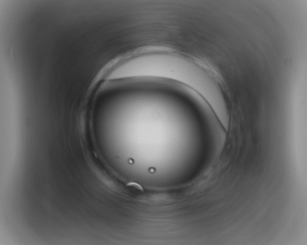 X0000113870108200910011120