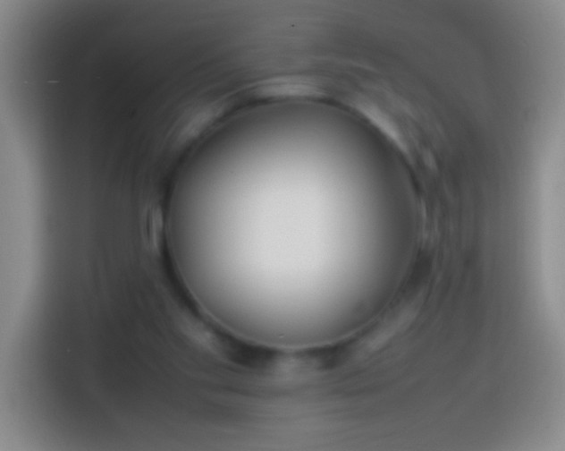 X0000113870109200910011120