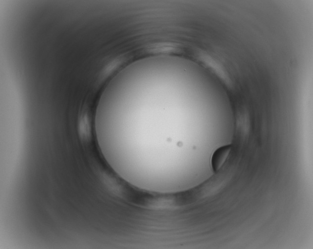 X0000113870110200910011120