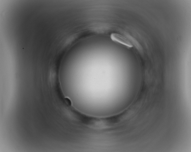 X0000113870113200910011120