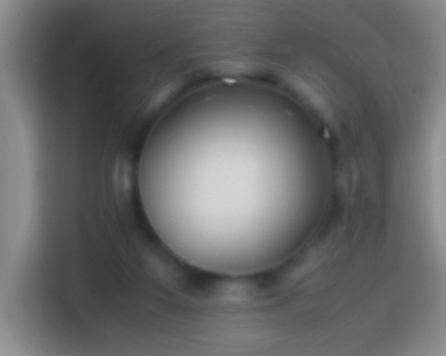 X0000113870115200910011120