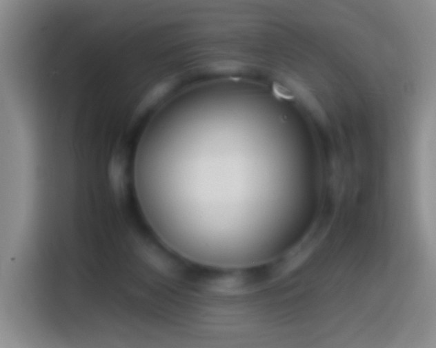 X0000113870116200910011120