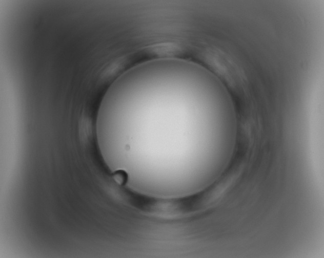 X0000113870117200910011120