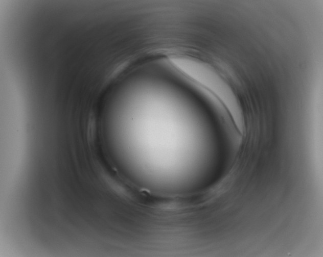 X0000113870120200910011120