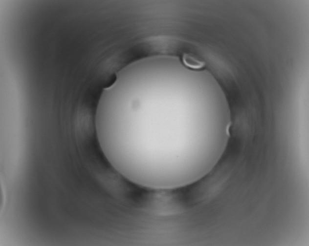 X0000113870121200910011120