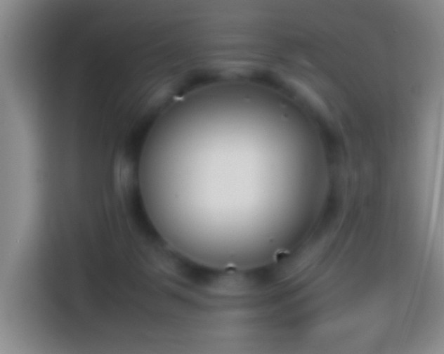 X0000113870123200910011120