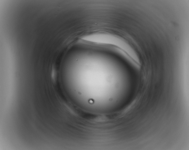 X0000113870124200910011120