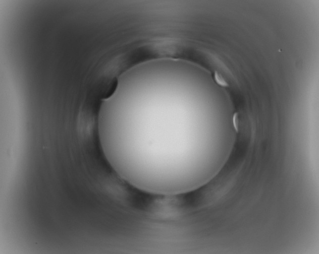 X0000113870125200910011120