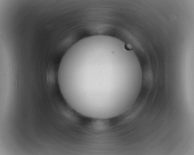 X0000113870126200910011120