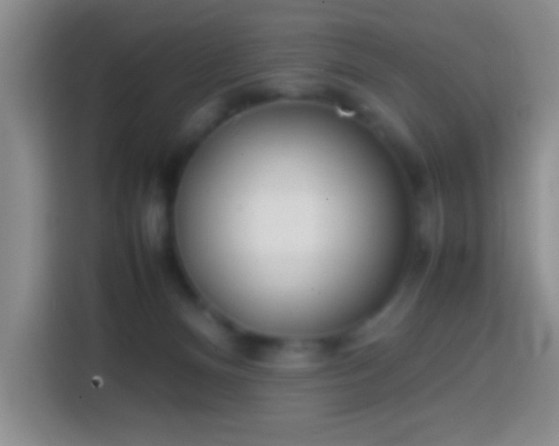 X0000113870128200910011120