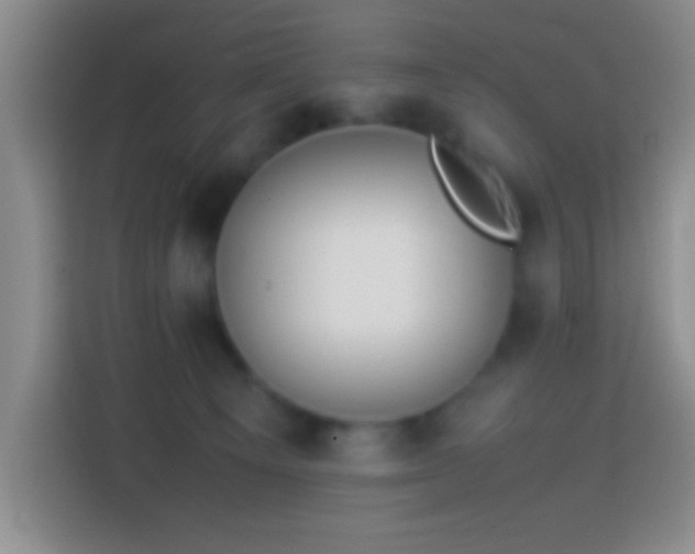 X0000113870129200910011120