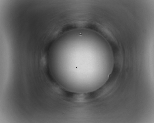 X0000113870131200910011120