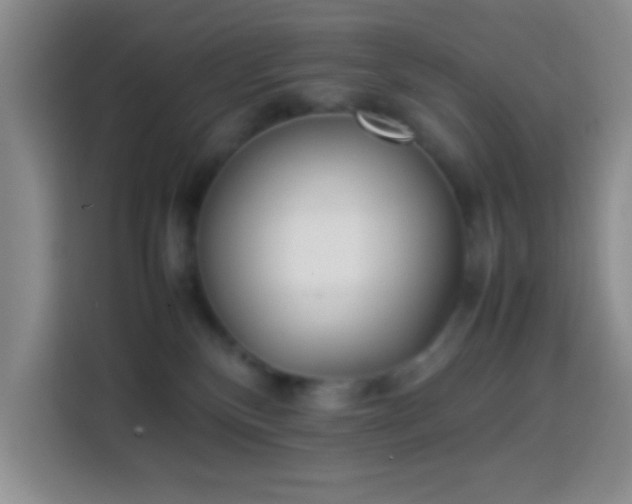 X0000113870136200910011120