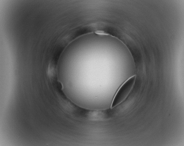 X0000113870137200910011120