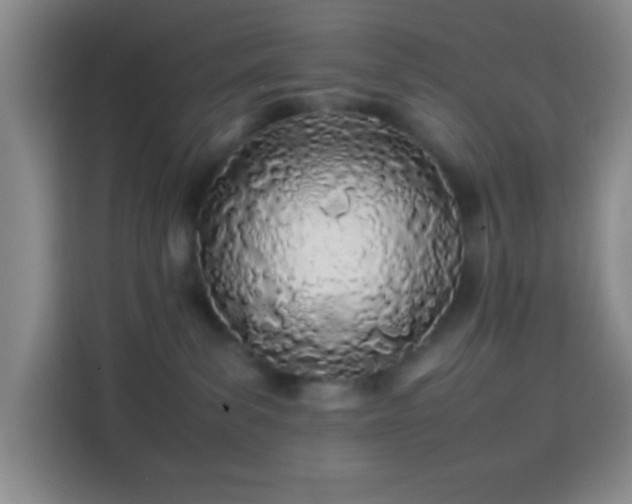 X0000113870139200910011120