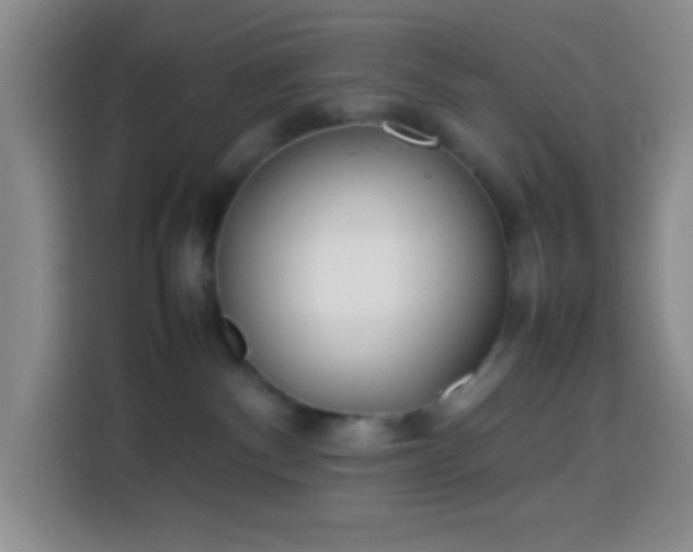 X0000113870140200910011120