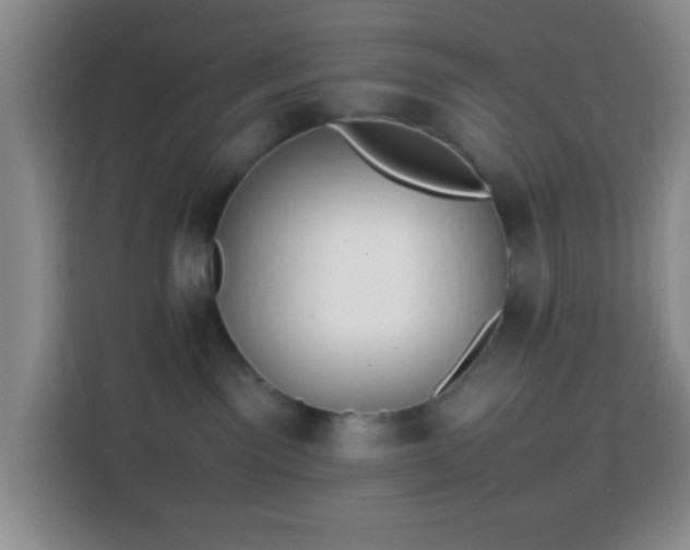 X0000113870141200910011120