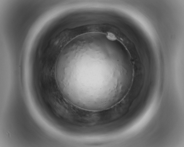 X0000113870143200910011120