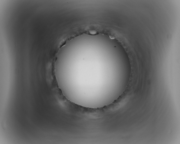 X0000113870144200910011120