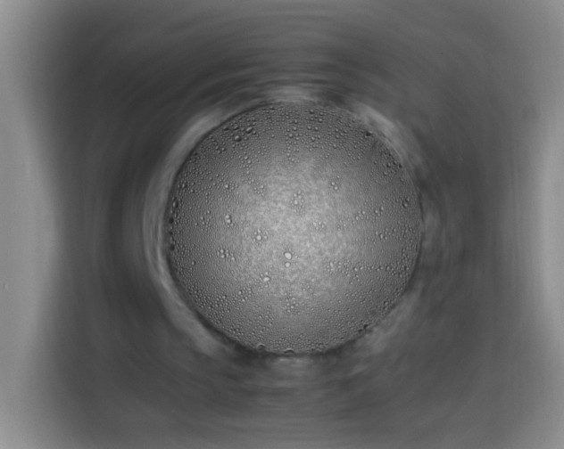 X0000113870145200910011119