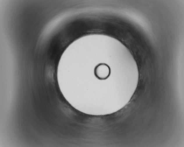 X0000113870146200910011119