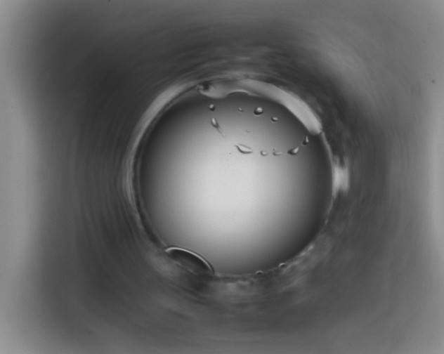 X0000113870147200910011119