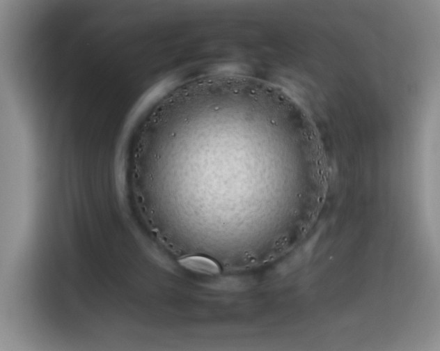 X0000113870149200910011119