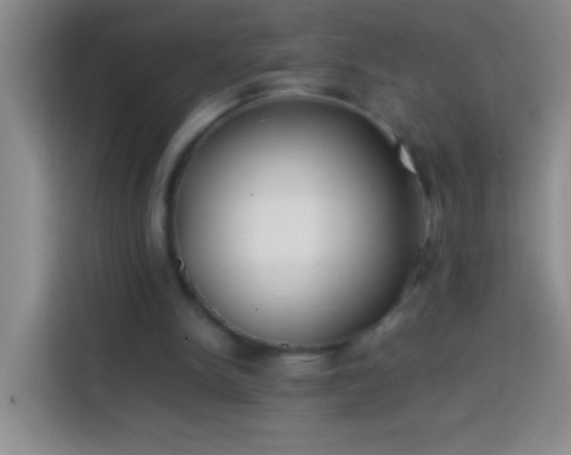 X0000113870150200910011119