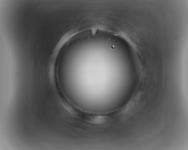 X0000113870151200910011119