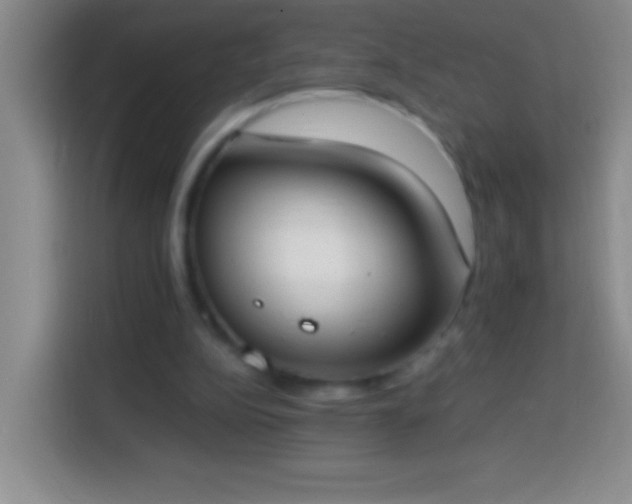 X0000113870152200910011119