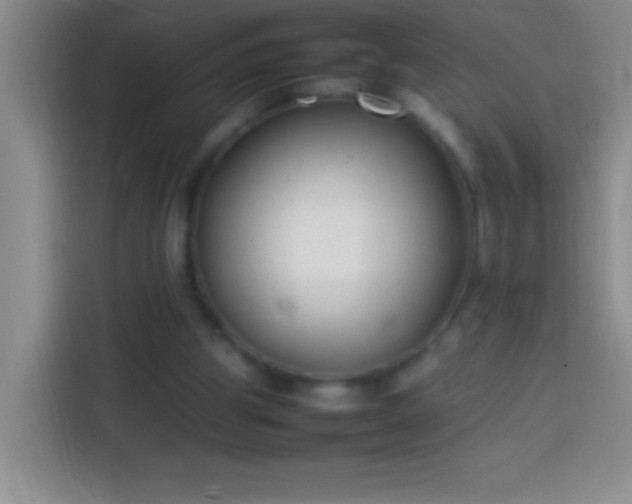 X0000113870153200910011119