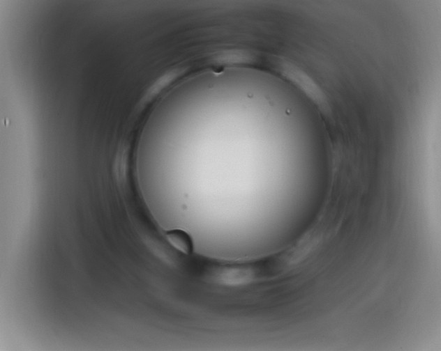 X0000113870155200910011119