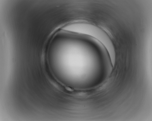 X0000113870156200910011119