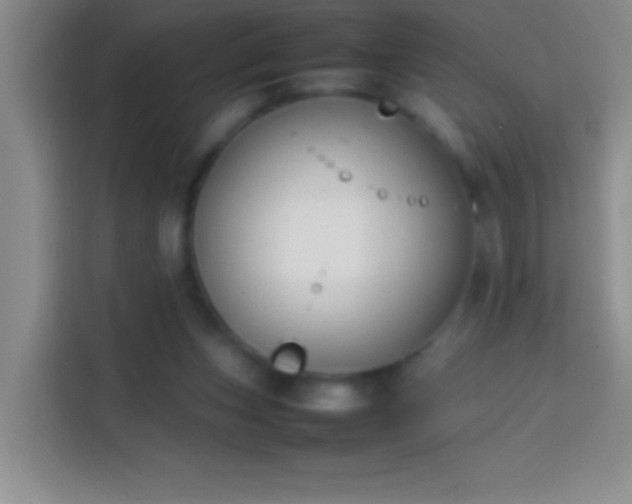 X0000113870159200910011119