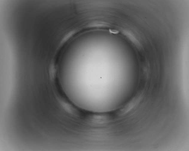 X0000113870160200910011119