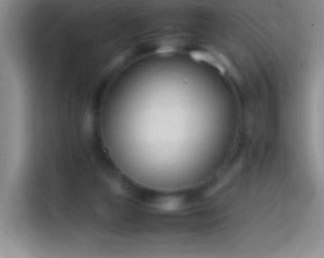 X0000113870161200910011119