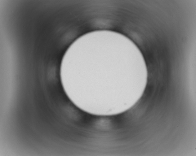 X0000113870162200910011119