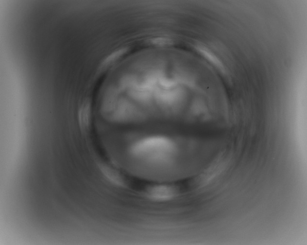 X0000113870163200910011119