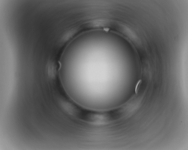 X0000113870164200910011119