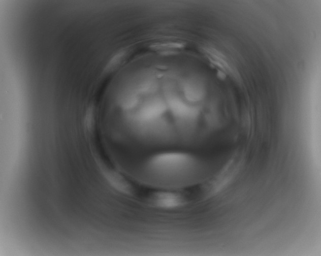 X0000113870167200910011119