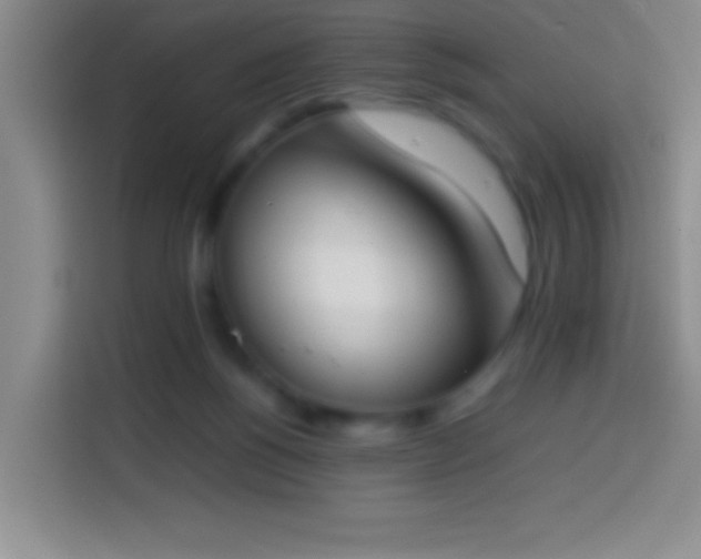 X0000113870168200910011119